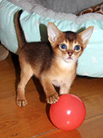 Aby